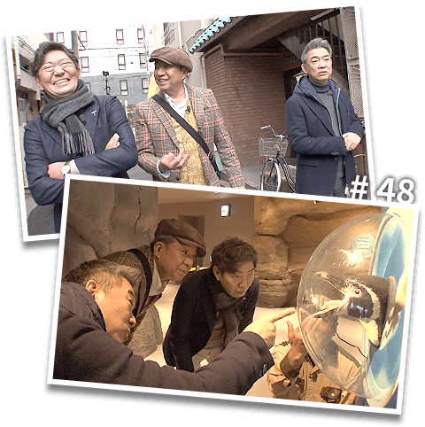 「小顔ブーム」の終焉か？2026年、強烈な色気を放つ「骨格男」たちが支持される真の理由