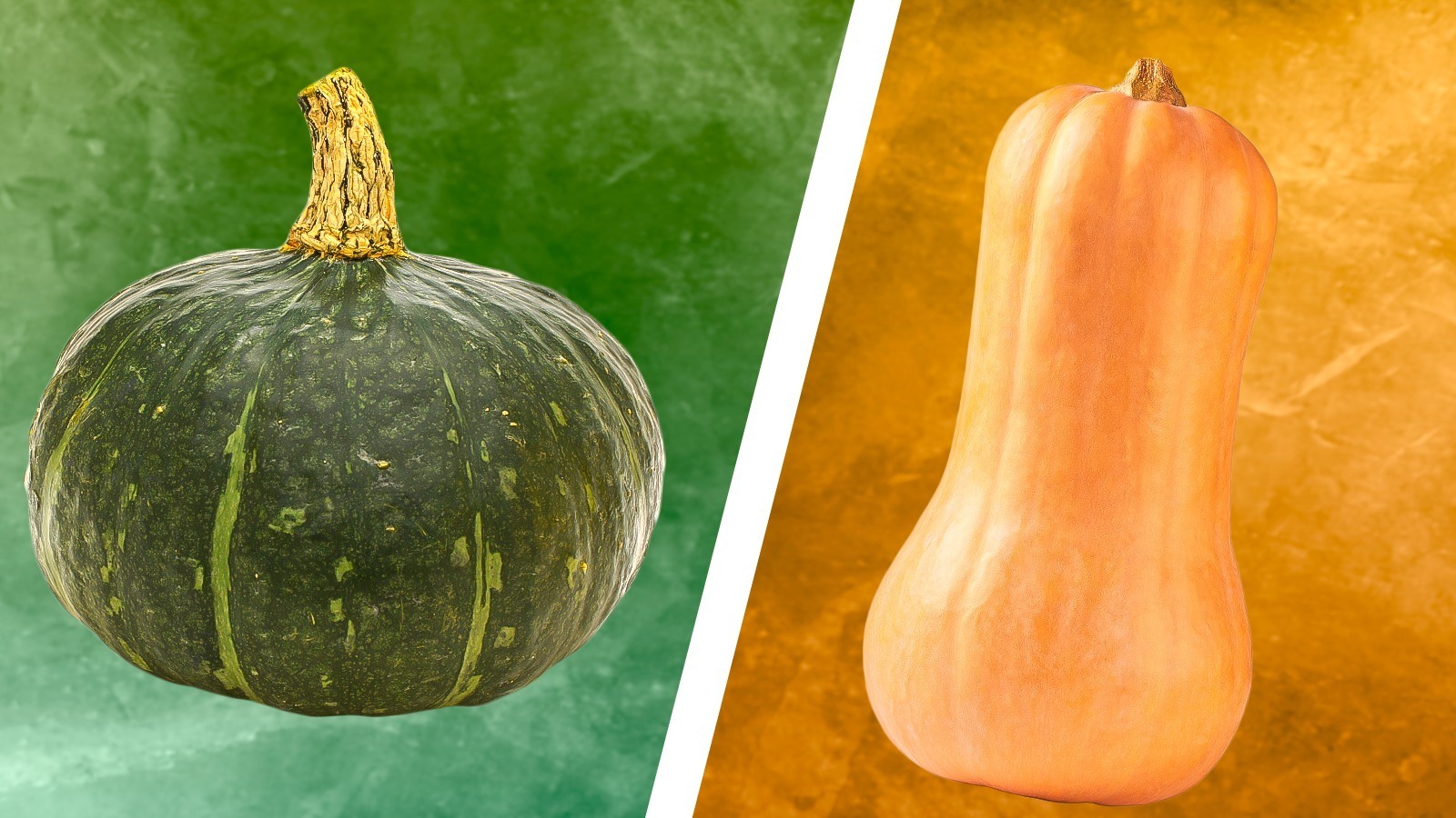 Butternut vs Buttercup Squash