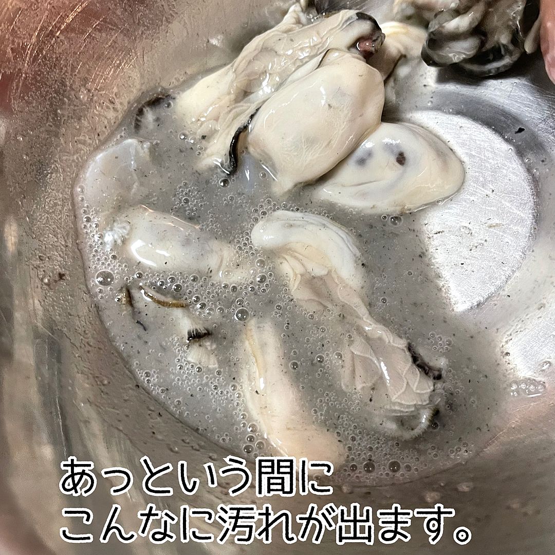 キャベツ一玉が即消える！殿堂入りの大量消費レシピとプロの使い切り術