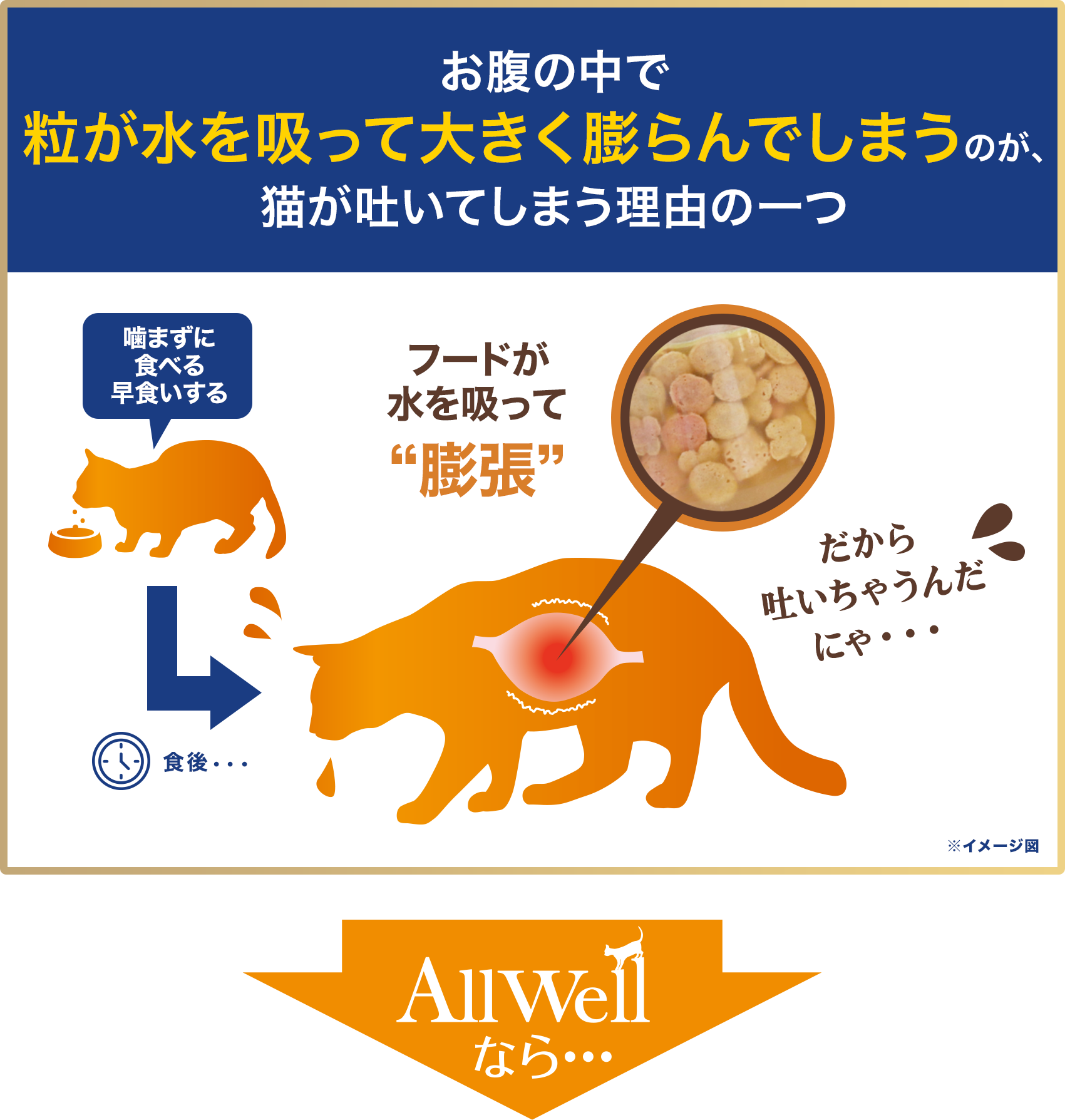 猫が餌をそのまま吐く真相｜吐出と嘔吐の違い・受診すべき危険サイン