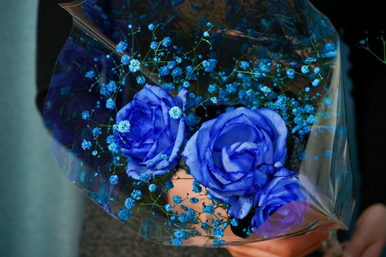 青いバラの花言葉が怖いと言われる理由とは？「不可能」から奇跡への真相