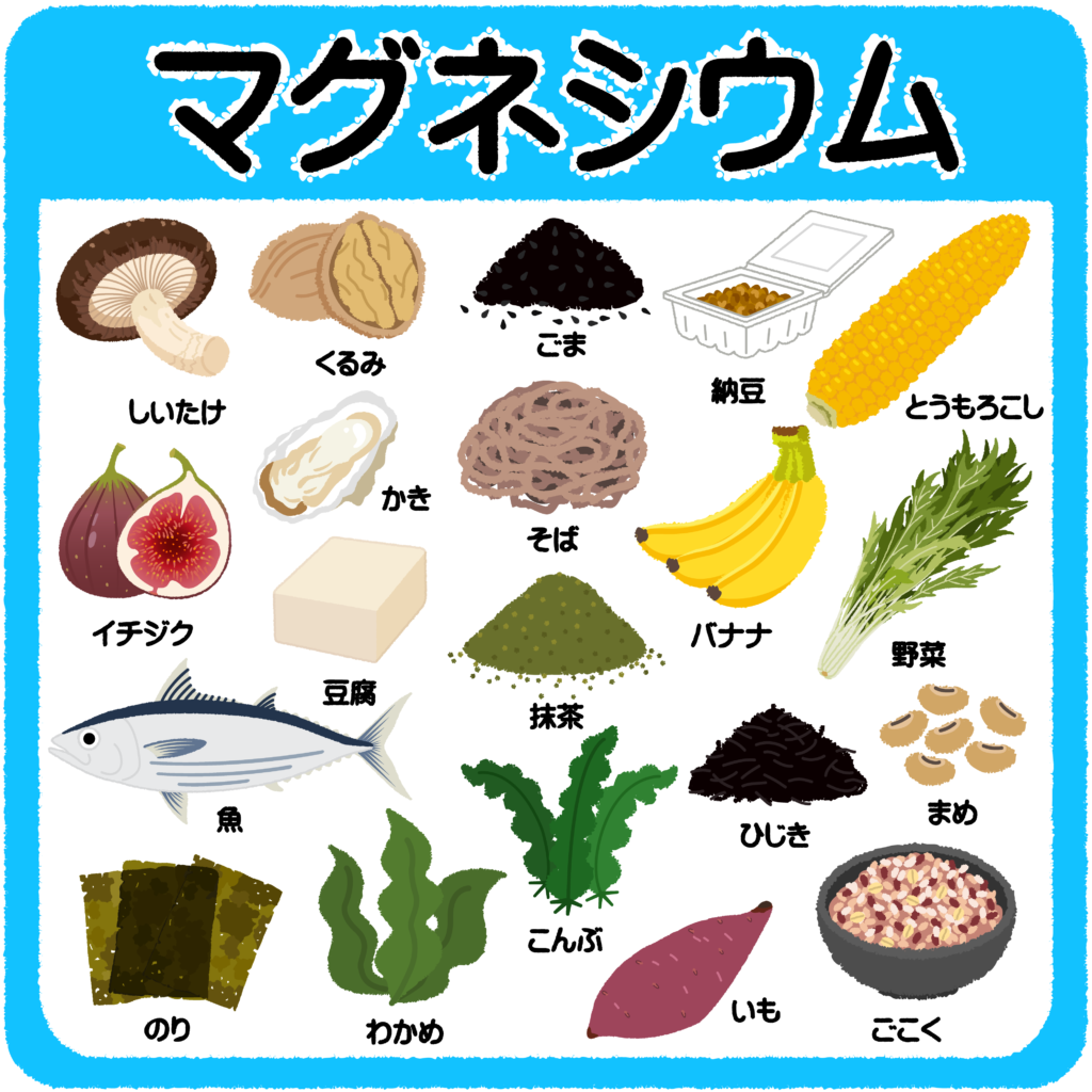 だるさ解消！自律神経を整える食べ物とコンビニ活用術【2026年最新】