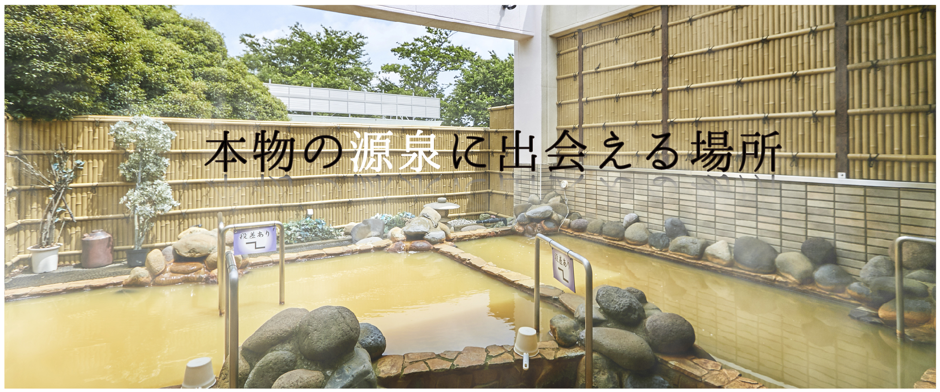 めぐみの湯2026評判！サウナと混雑の真相＆料金・クーポン徹底検証