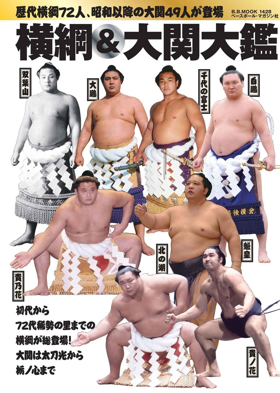 大関と横綱の決定的な違いとは？2026年最新番付と格差の真相