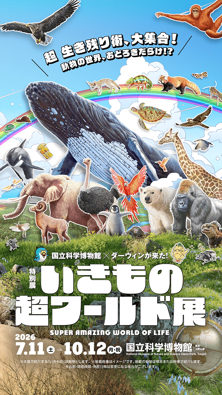 木曜の夜を沸かせた名作ドラマ！今明かされる視聴率と配信の裏側