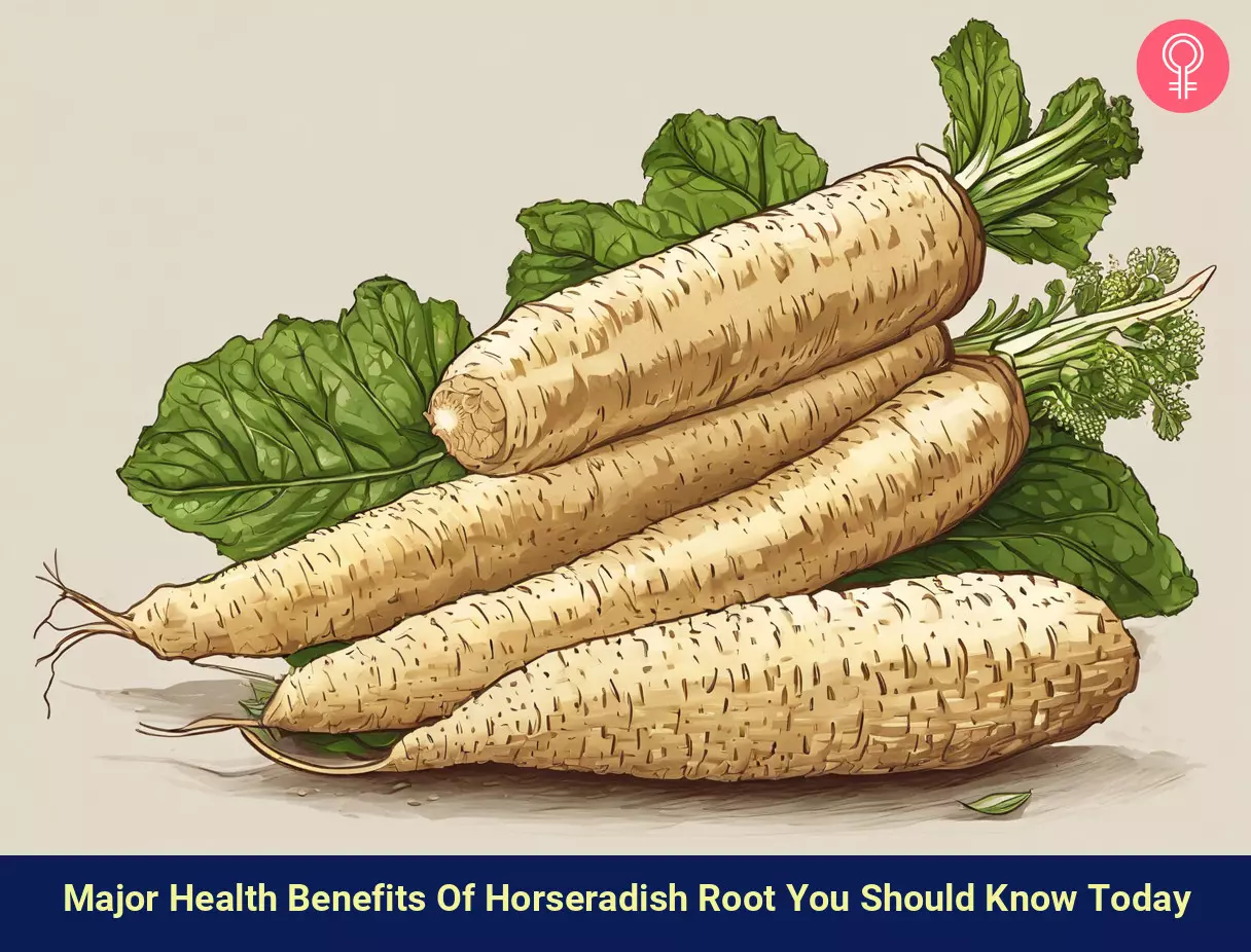 Benefits of Horseradish Root