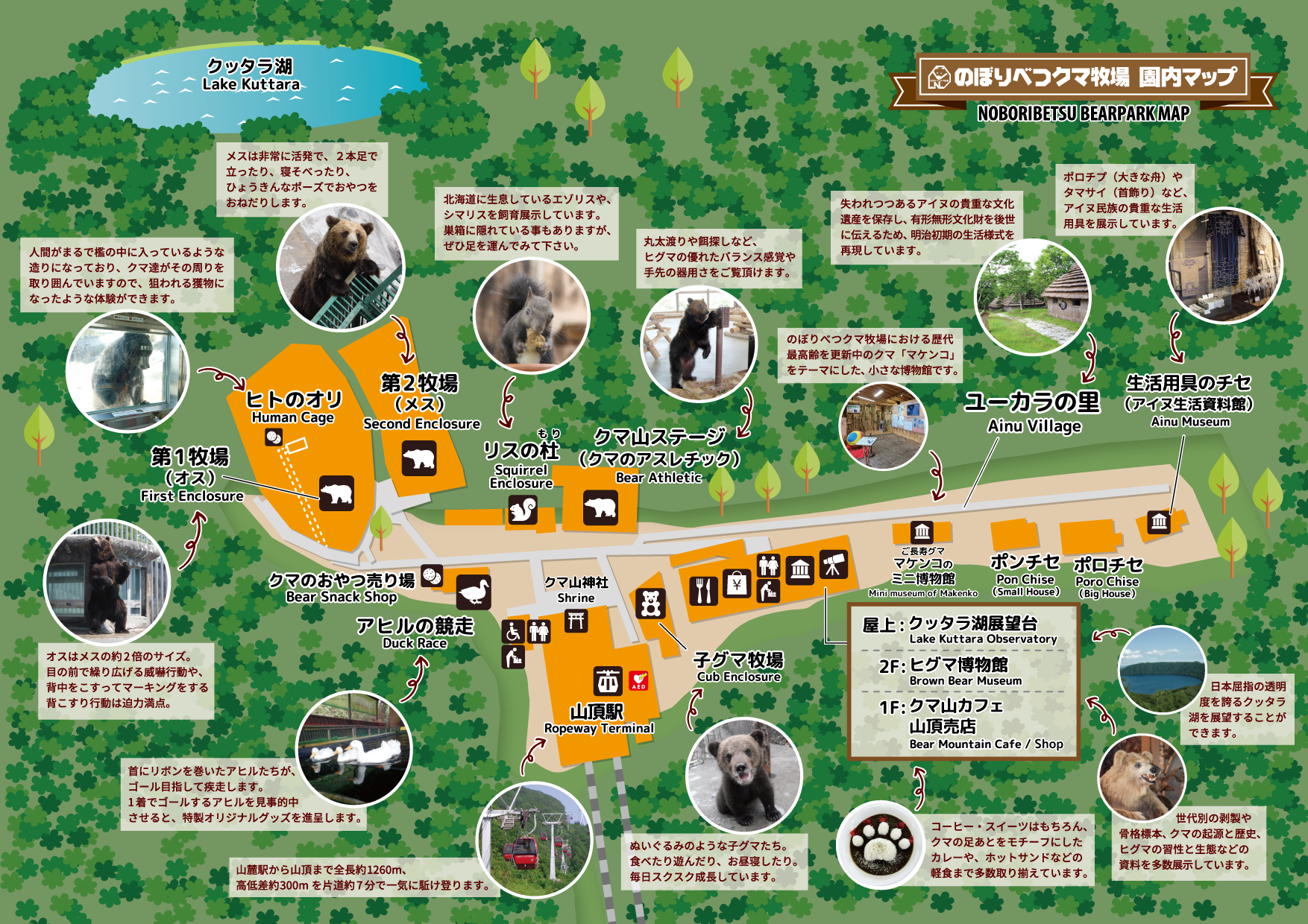 【2026】登別クマ牧場の割引クーポン＆所要時間は？人の檻の迫力まで徹底解説