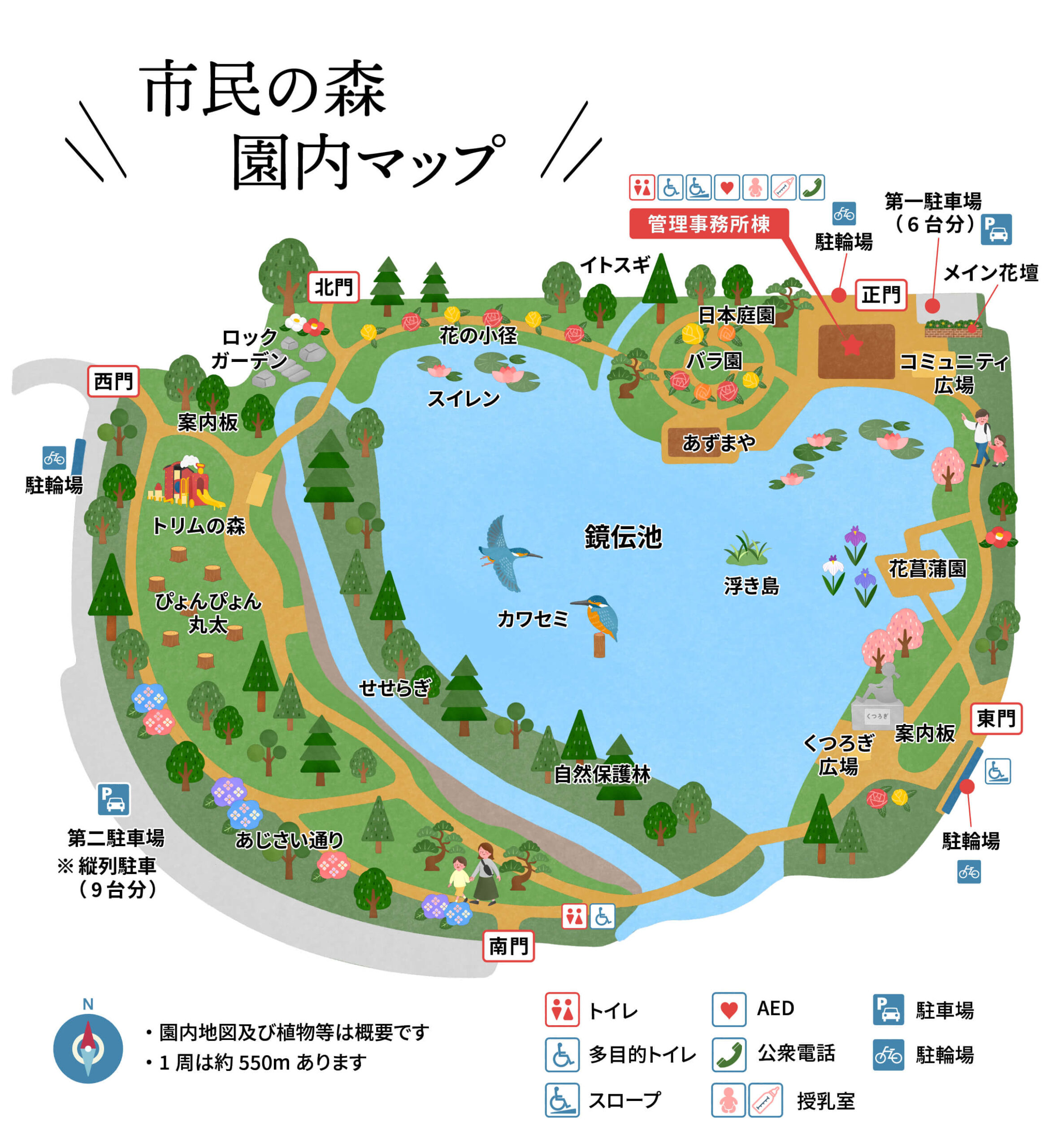 市民の森を遊び尽くす！無料駐車場の混雑とりすの家攻略【2026】