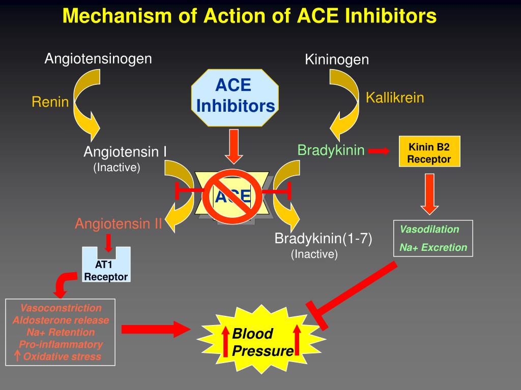 Function of Ace Inhibitors