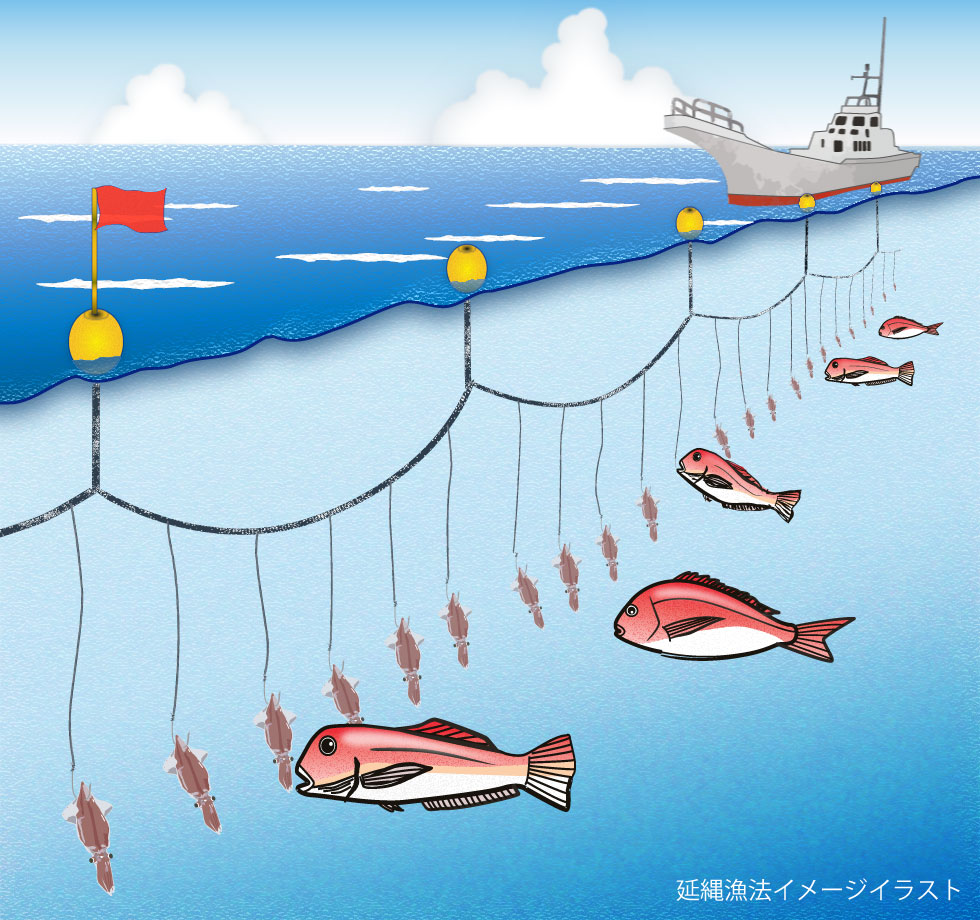延縄漁の仕組みと仕掛け｜マグロ船の年収・過酷な現場と混獲問題の真実