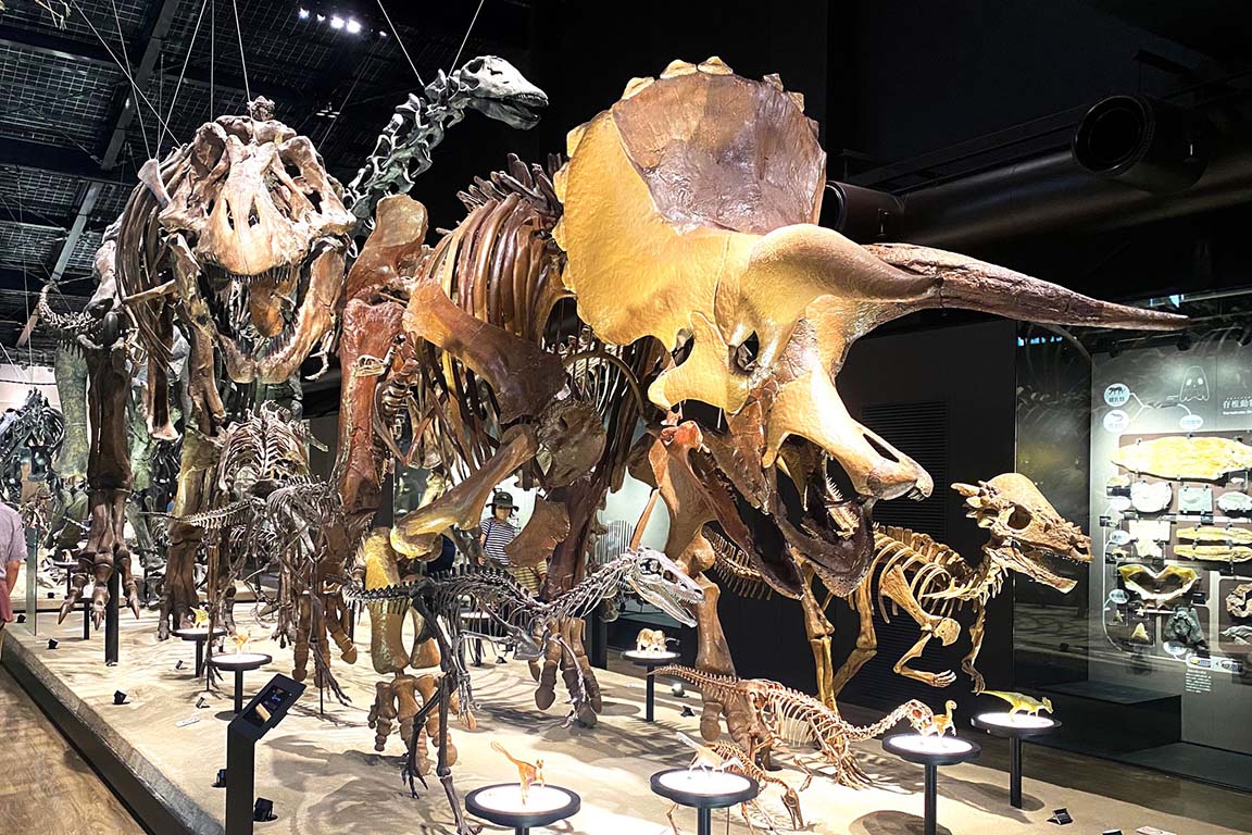 御船町恐竜博物館の全貌取材！所要時間や化石発掘の混雑対策完全版