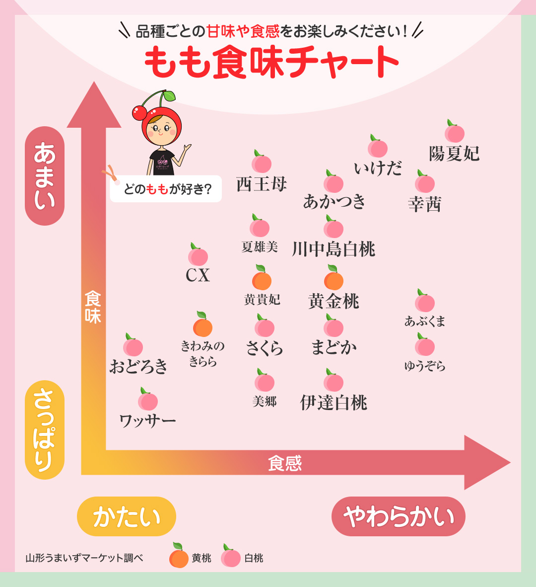 甘い桃の見分け方決定版！プロが明かす完熟サインと極上保存術