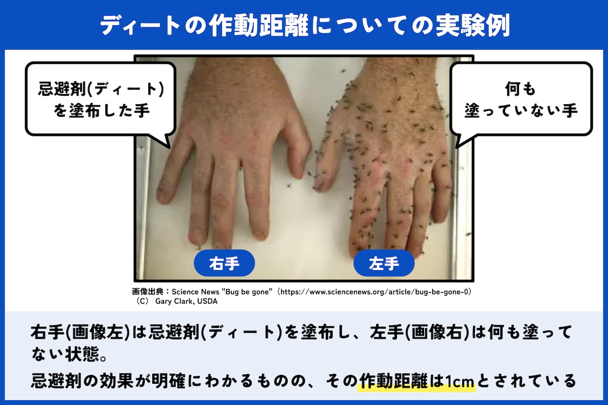蚊に刺されやすい血液型はO型が本当？科学的真相と最新対策を徹底解説