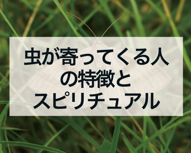 【経歴】 虫 が 寄っ て くる 人 話題のSns投稿まとめ 2026 #829