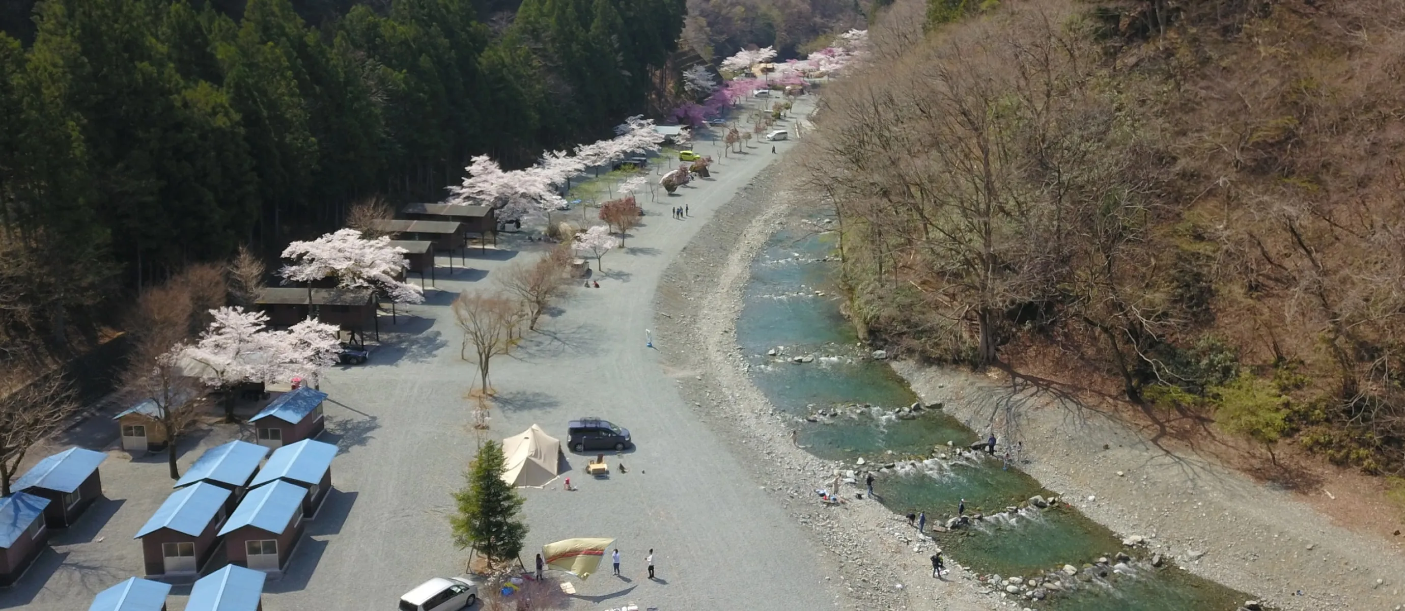 神之川キャンプ場はなぜ人気？2026年最新の予約裏ワザと清流の魅力を徹底解説
