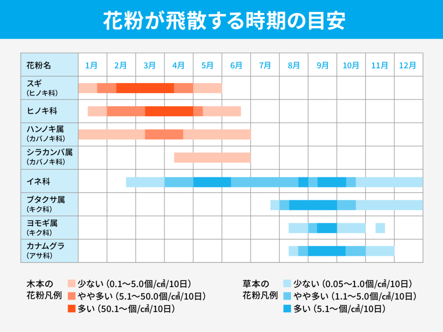 【2026】5月の花粉症はなぜ？喉の痛みや咳の原因と今すぐ効く対策