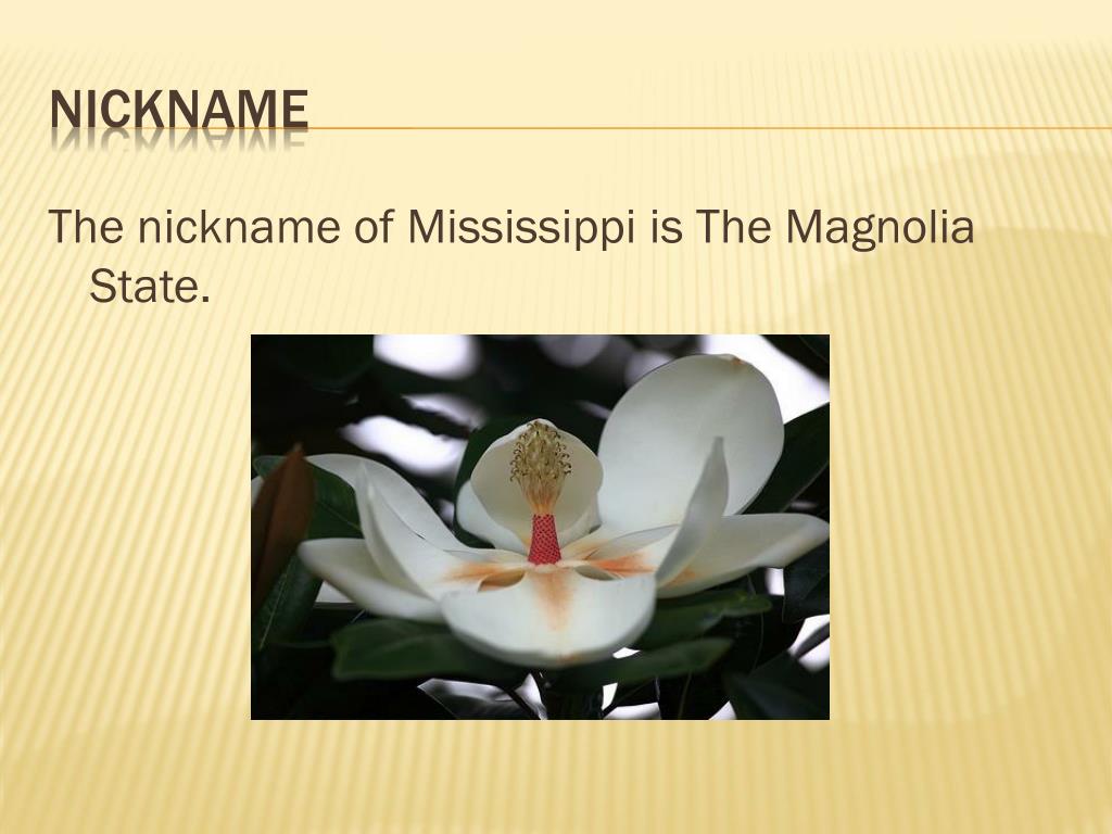 What Is Mississippi Nickname