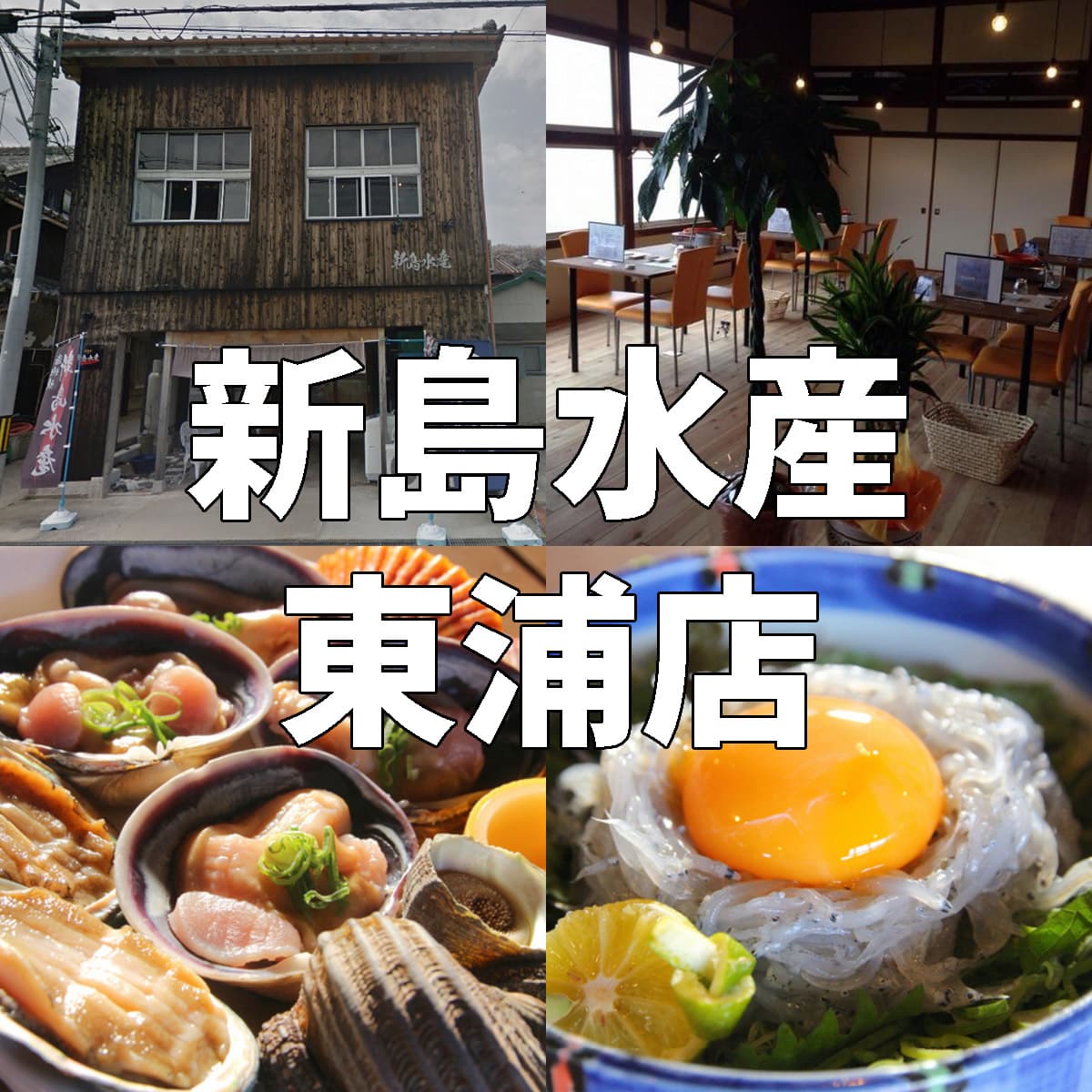 新島水産東浦店の評判と予約攻略｜名物貝焼き・旬の生うに丼を徹底検証