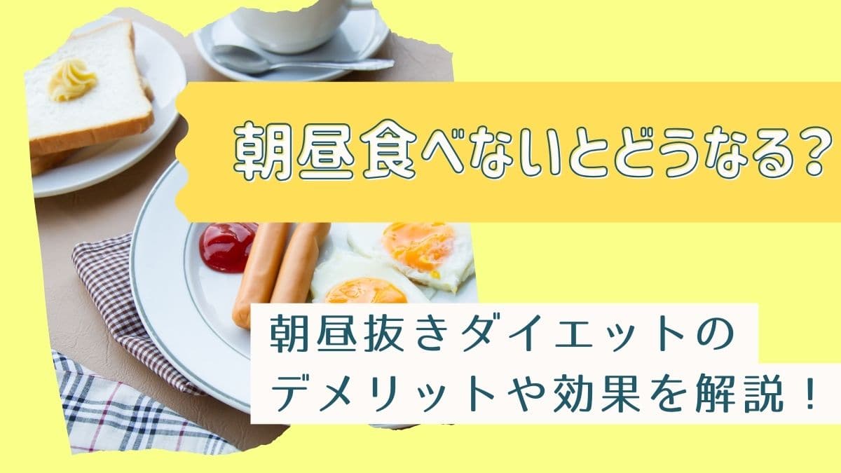 朝昼食べない生活で体に何が起きる？痩せない理由と潜むリスクを徹底解明