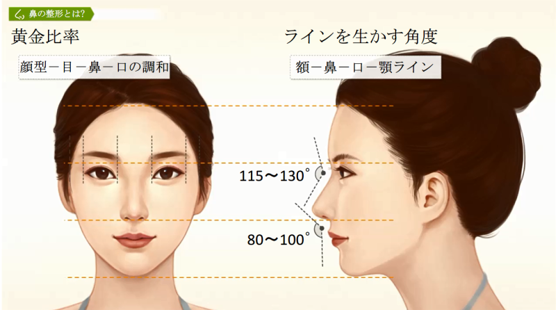 【2026年最新調査】日本人の鼻の大きさ平均はどれくらい？長さ・小鼻の幅・高さの標準値とスマホ自撮りが生む「錯覚」の正体