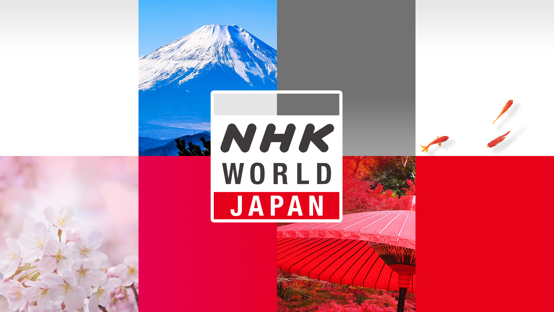 あの懐かしいNhkビデオロゴの秘密！昭和平成を彩った名作映像の裏側
