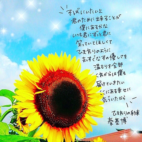 【経歴】 秦 基博 ひまわり の 約束 歌詞 話題のSns投稿まとめ 2026 #798