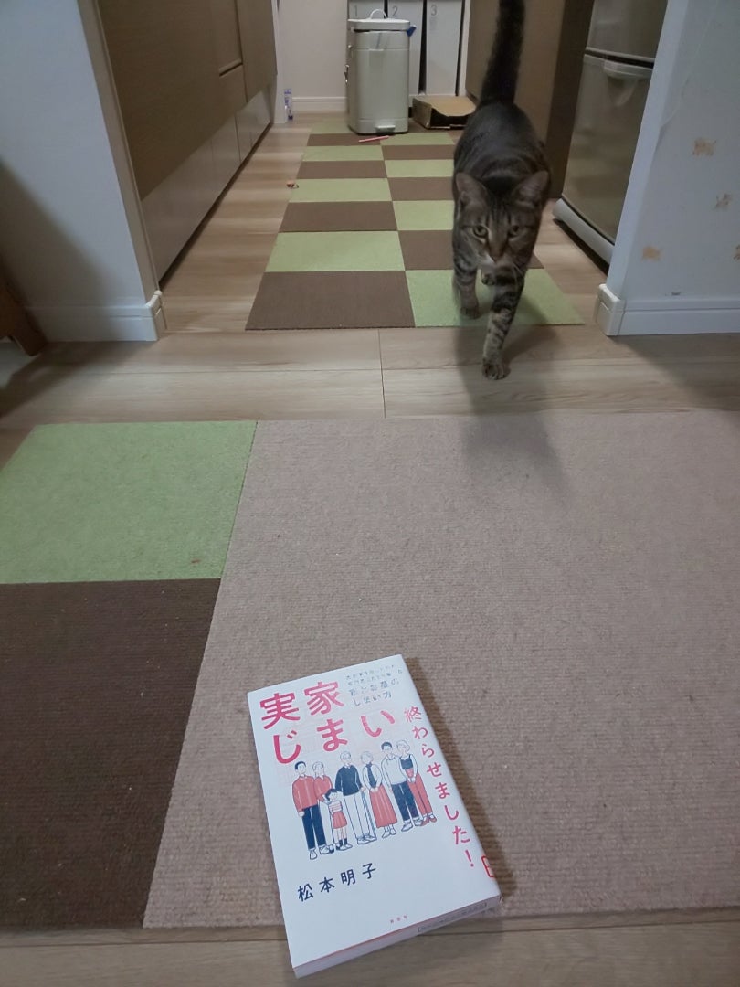山本耕史の実家は新宿の豪邸？金持ち説の真相と堀北真希との私生活を徹底解明