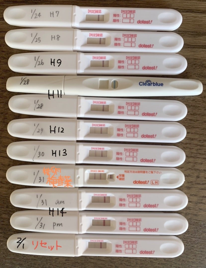 流産後に妊娠検査薬が陽性の理由は？陰性化の目安と次の妊活指針