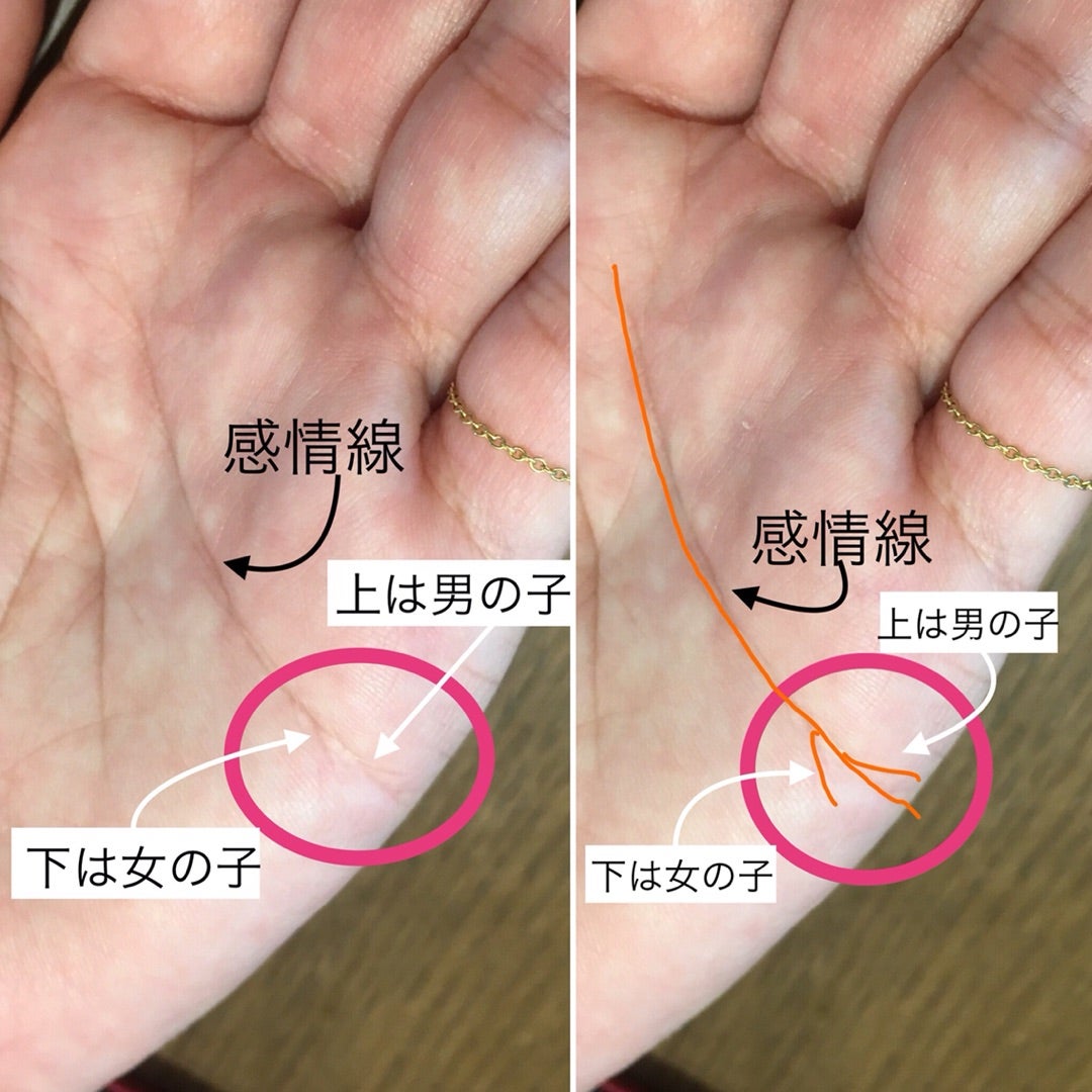 手相で子供は何人できる？子宝線の見方や性別・右手左手の違いを徹底解説
