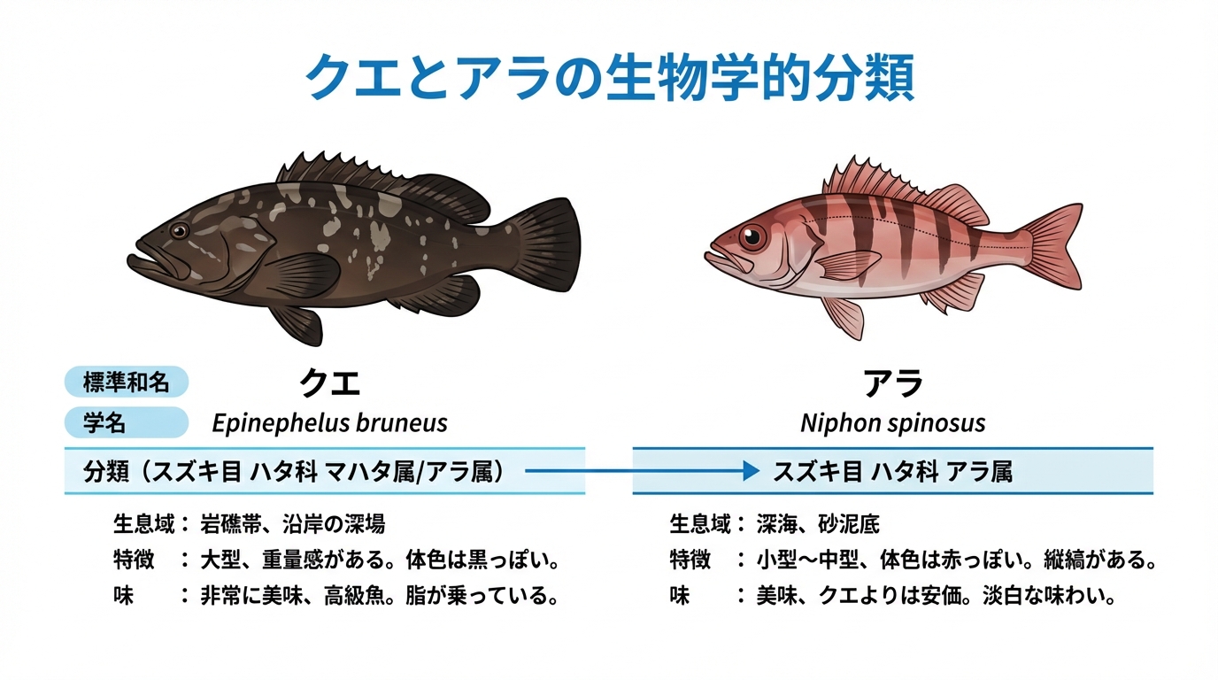 アラとクエの違いを徹底解明！九州の呼び名の真相と見分け方を解説
