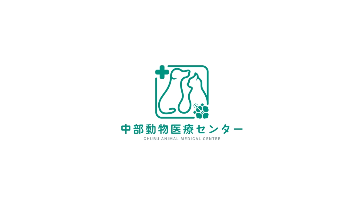 中部動物医療センターの評判と夜間救急の真相｜紹介状の壁と費用検証