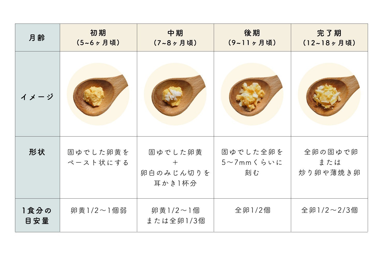 離乳食の卵スケジュール完全ガイド！失敗しない進め方と最新カレンダー