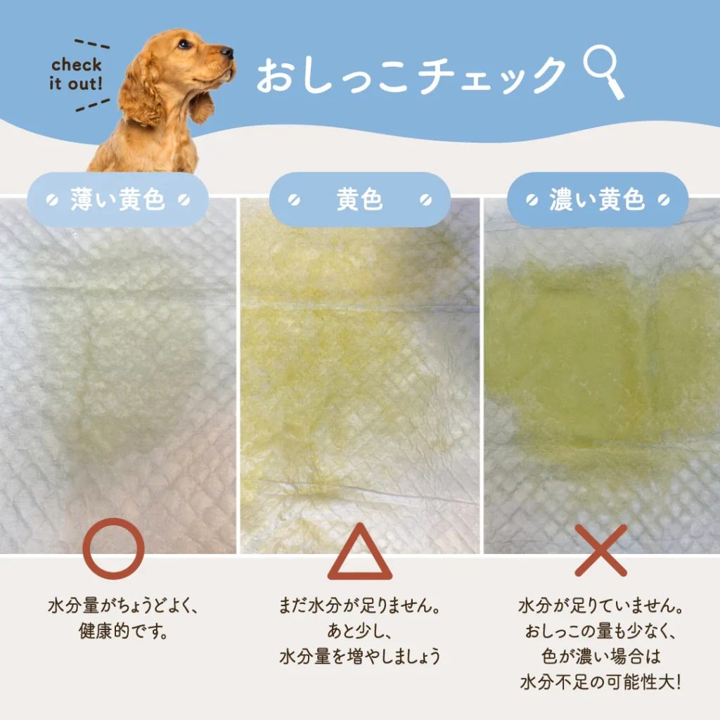 犬が水を飲まない原因と病気の兆候｜脱水サインの見分け方と緊急対処法