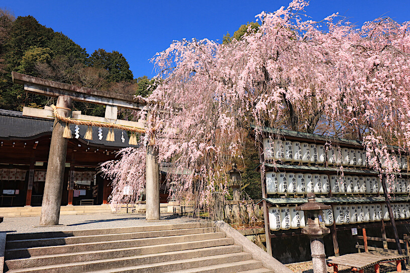 大石神社が放つ大願成就の真実とは？歴史秘話と限定授与品を追う