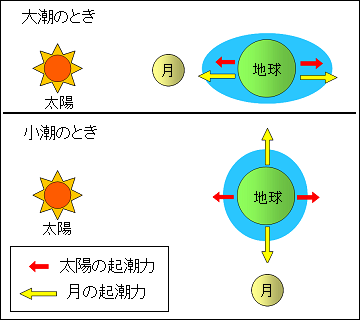 満ち潮で生まれ、引き潮で逝くのは本当か？最新ビッグデータが明かす「月と人体」の真実