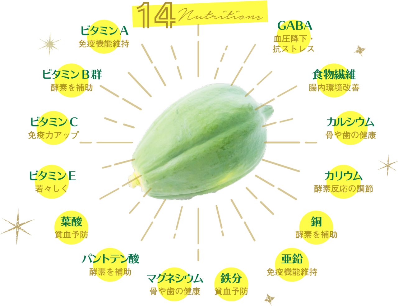 青パパイヤ酵素の効果は嘘か本物か？腸活と痩身の真相を徹底検証