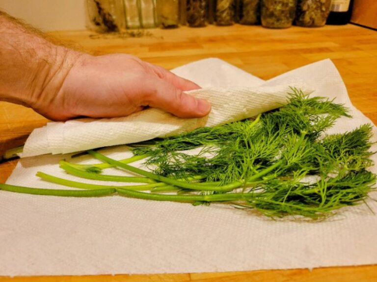 How to Freeze Dill