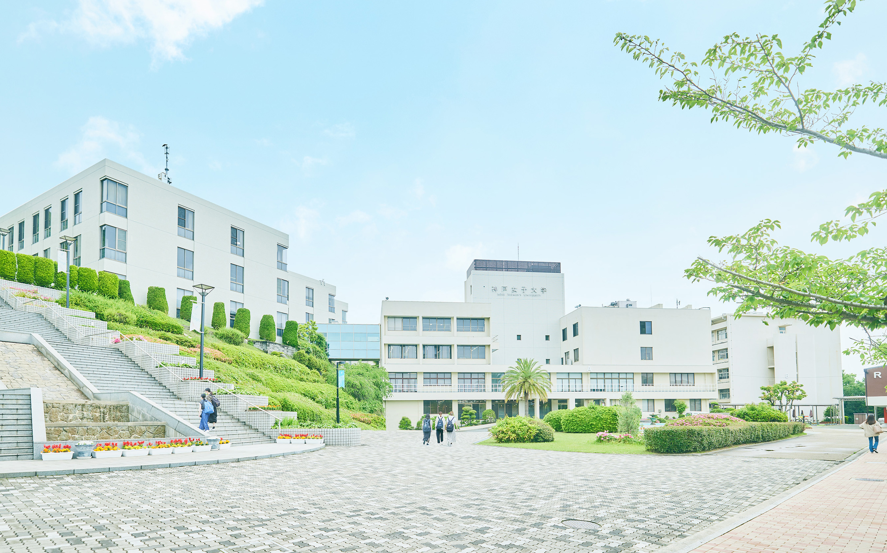 伝統と就職力で選ぶ神戸女子大学！偏差値・学費と入試の最新動向