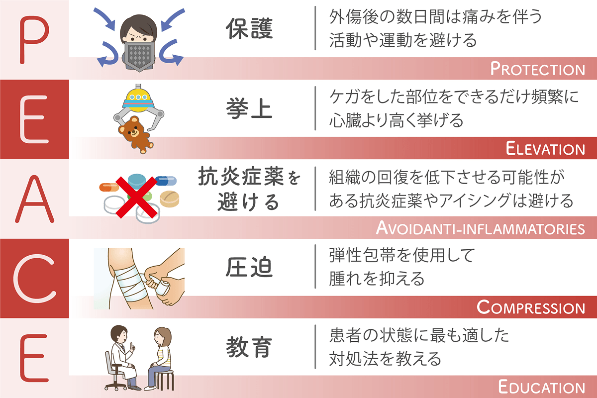 怪我を早く治す方法2026！傷跡を残さない湿潤療法と食事ケア