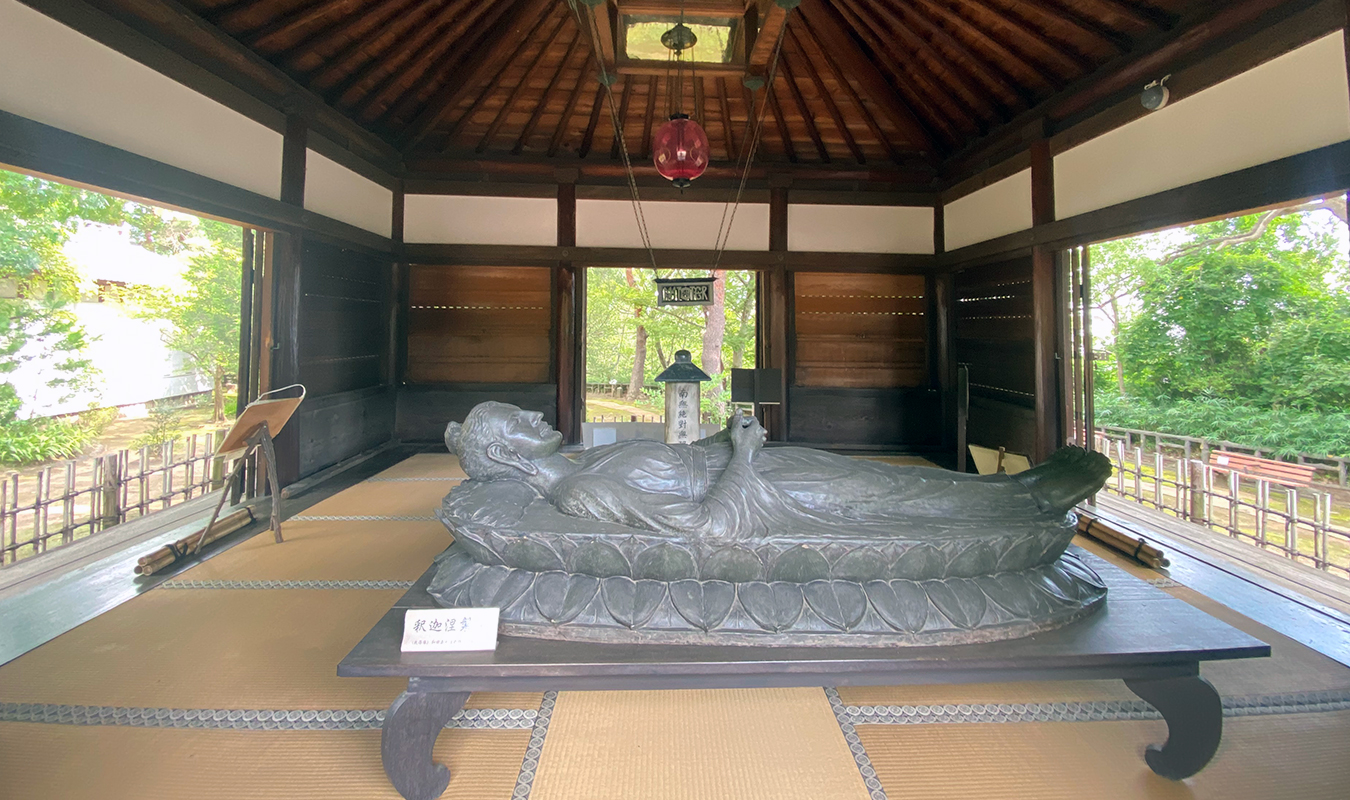 2026年最新：なぜいま全国の「恐竜広場」に家族連れが殺到するのか？ 最新Ar体験と新幹線効果が生んだ熱狂の裏側