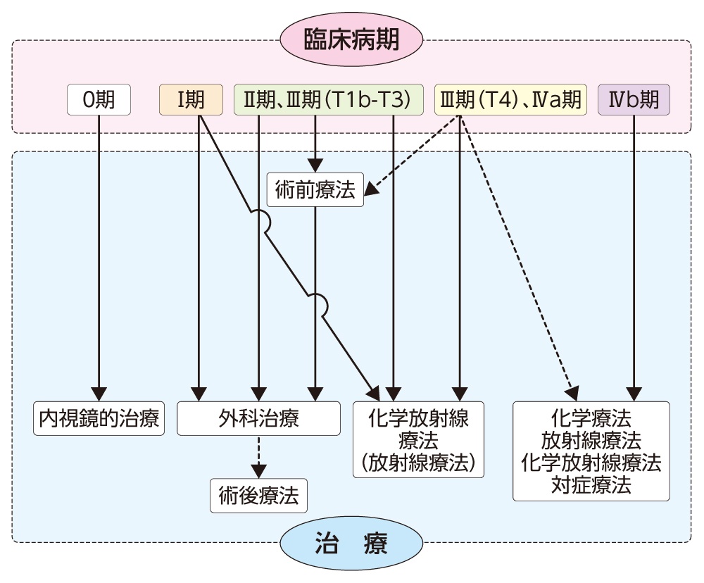 桑田佳祐の食道がん執刀医は誰？歌声を救った名医の手術と真相を徹底解説