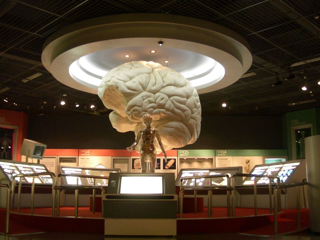 上越科学館の評判は？大迫力の恐竜ロボから混雑回避術まで徹底解説！