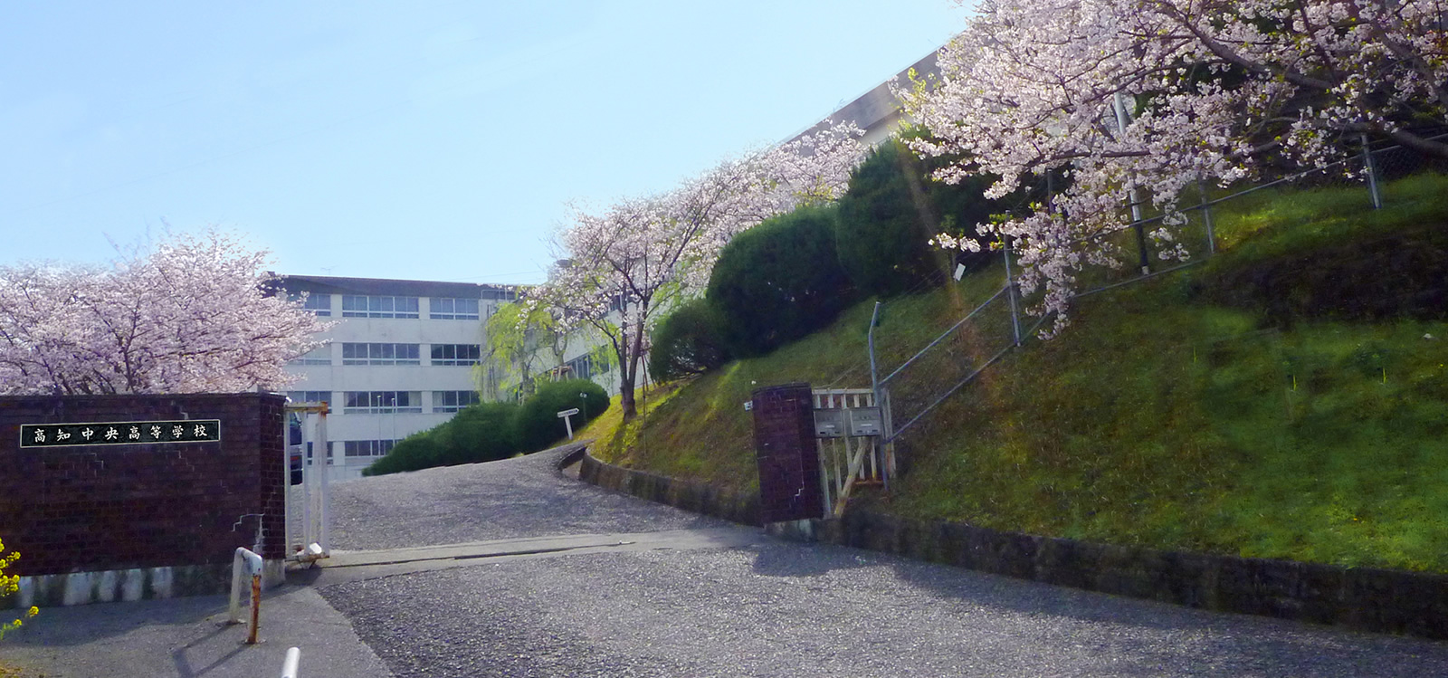 高知中央高校の偏差値とリアルな評判｜看護科と甲子園実績を徹底検証