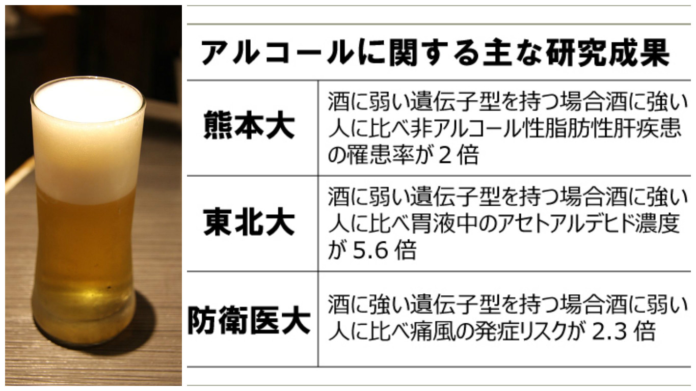 お酒が強い人の特徴と遺伝子の真実！「鍛えれば強くなる」噂の罠