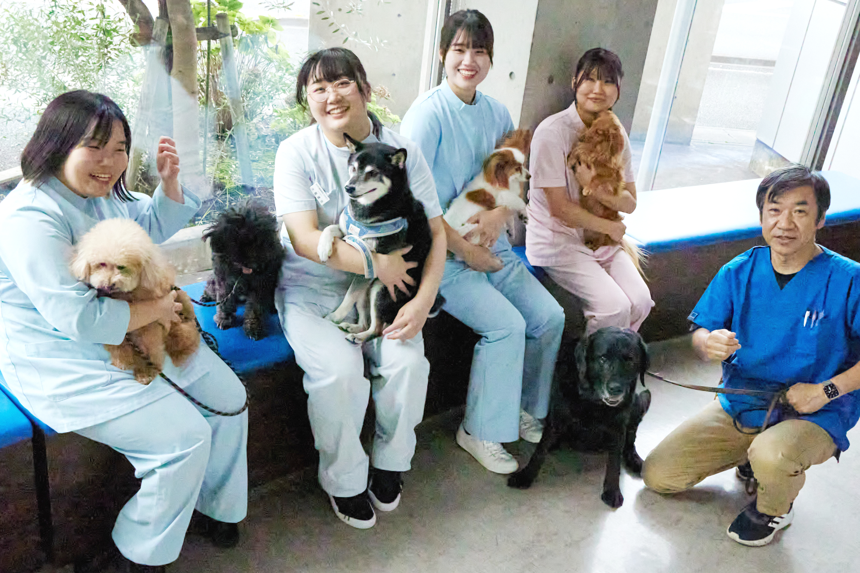 【2026最新】玉村町の中野動物病院の評判と口コミ・診療時間を徹底解説