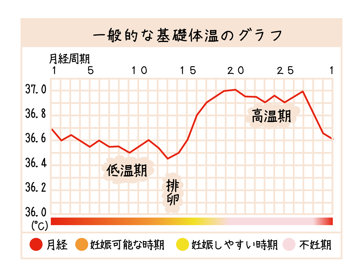 基礎体温はいつ測る？二度寝やズレの対処法と正しい測定鉄則【2026】