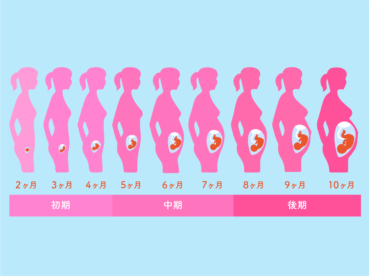 妊娠判明！病院はいつ行く？初診ベスト時期と費用・持ち物最新ガイド