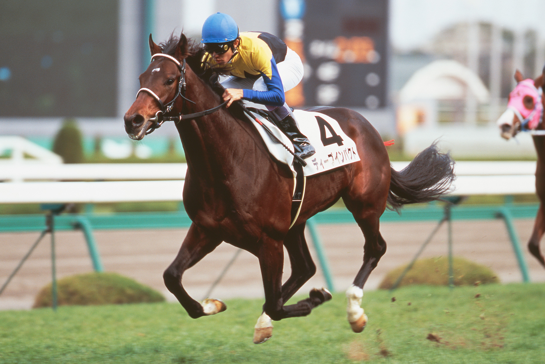 ディープ衝撃から続く奇跡！金子真人が築いた個人馬主の頂点と相馬眼