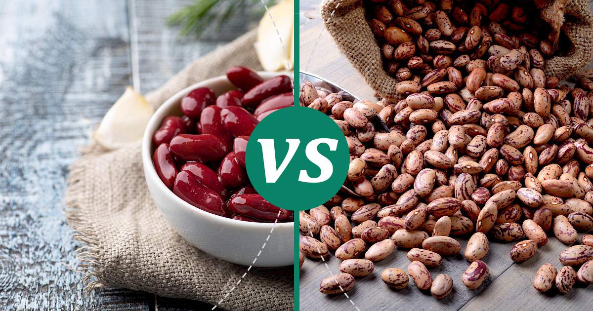 Are Kidney Beans the Same as Pinto Beans