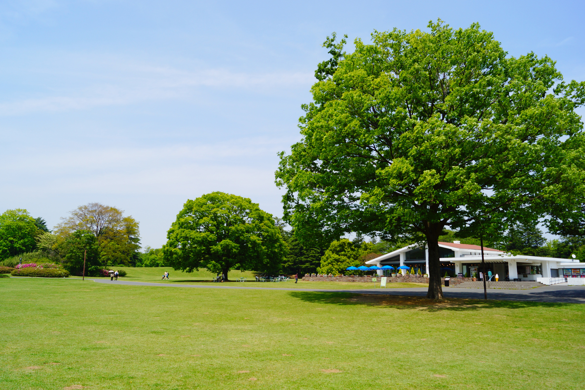 日本一広い公園はどこ？ケタ違いのスケール誇る全国の巨大公園徹底比較